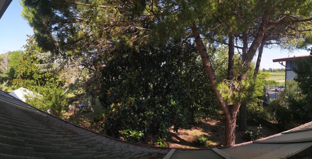 Ca D'artisti Bed & Breakfast