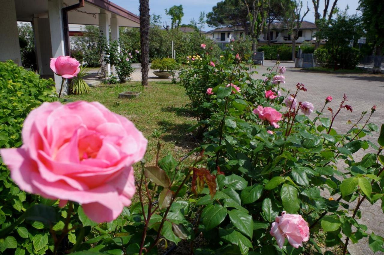 Bed & Breakfast Ca D'artisti